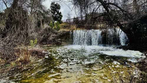 A serene waterfall cascades over rocks, surrounded by trees and frothy water, under a cloudy sky.