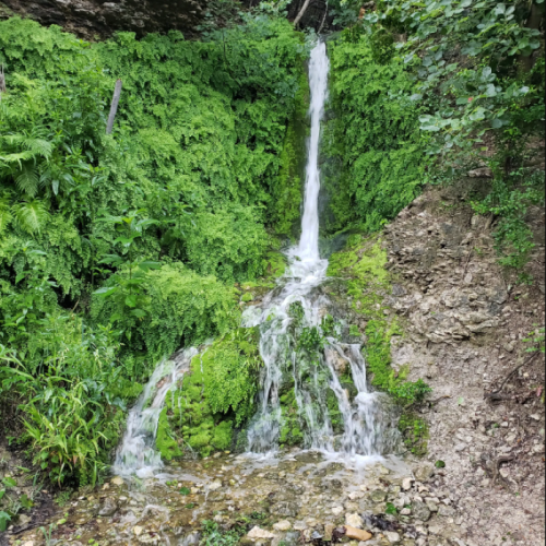 A lush green waterfall cascading down rocky terrain, surrounded by vibrant foliage and moss.