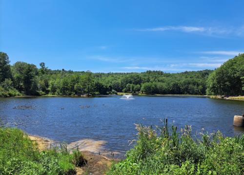 A serene lake surrounded by lush greenery and trees, featuring a fountain in the center under a clear blue sky.