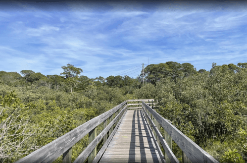 A wooden boardwalk leads through lush greenery under a blue sky with scattered clouds.