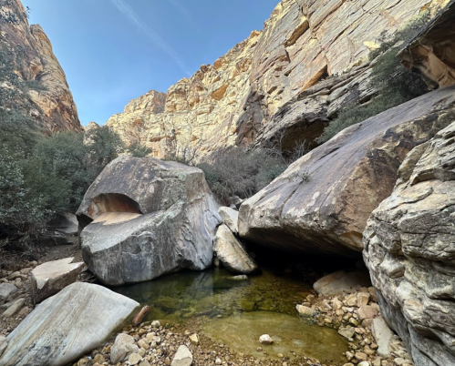 A rocky canyon with large boulders and a small pool of water surrounded by dry vegetation under a clear blue sky.