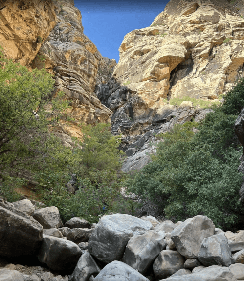 A rocky canyon with towering cliffs and lush greenery at the base, under a clear blue sky.