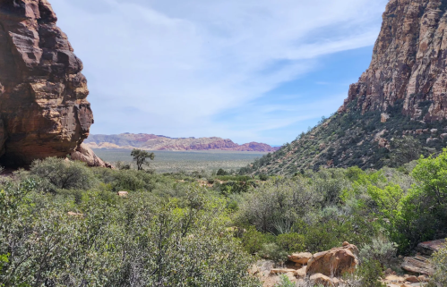A scenic view of a valley surrounded by rocky cliffs and lush greenery under a blue sky with wispy clouds.