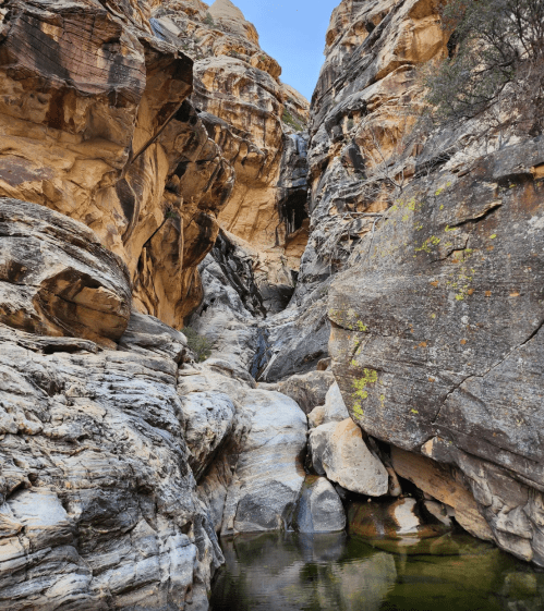 A narrow canyon with towering rock formations and a small pool of water at the base. Lush greenery is visible.