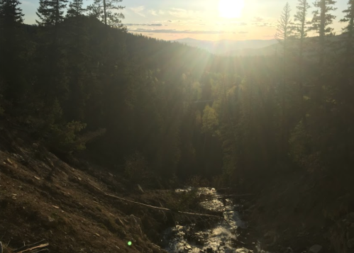 Sunset over a forested valley with a stream, casting warm light through trees and creating a serene atmosphere.