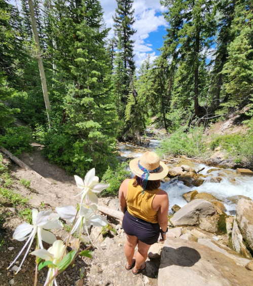 A person stands by a flowing river surrounded by tall trees and wildflowers, enjoying a sunny day outdoors.