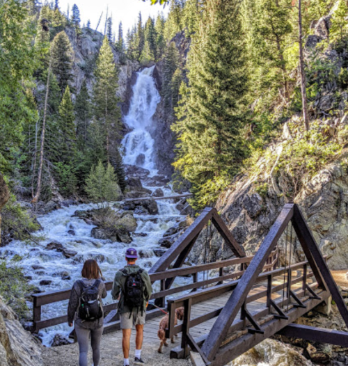 Two people and a dog walk towards a wooden bridge near a waterfall surrounded by lush green trees.