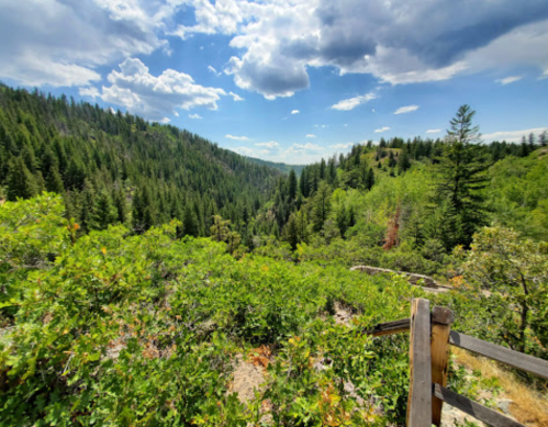 A scenic view of a lush green valley surrounded by trees under a partly cloudy sky.