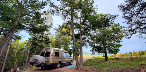 A golden van parked on a forested path, surrounded by tall trees and a scenic view in the background.