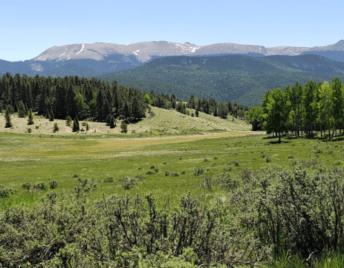 A scenic landscape featuring green meadows, trees, and mountains under a clear blue sky.