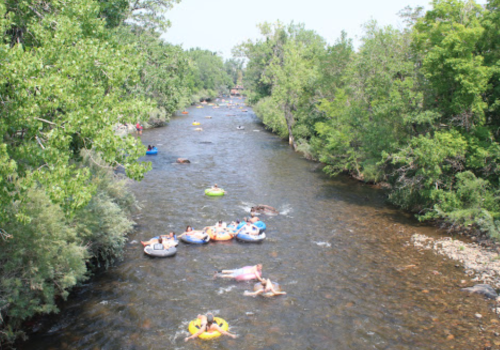 People floating on inner tubes in a river surrounded by lush green trees on a sunny day.