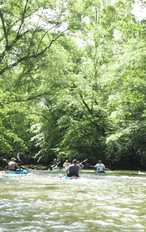 A group of people kayaking on a river surrounded by lush green trees on a sunny day.
