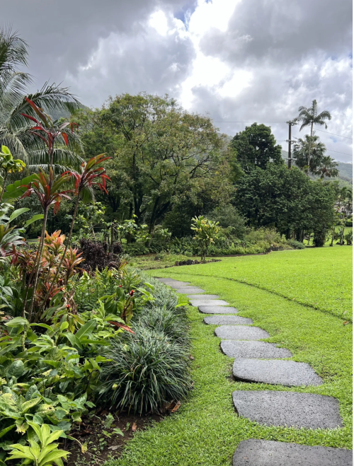 A stone pathway winds through a lush green garden under a cloudy sky, surrounded by tropical plants and trees.