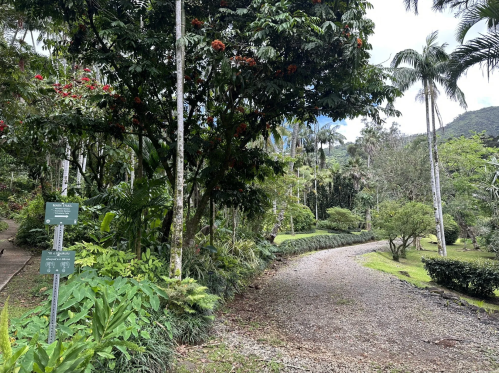 A winding path through a lush garden with tropical plants and trees, under a partly cloudy sky.