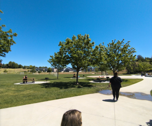 A sunny park scene with green trees, picnic tables, and people enjoying the outdoors on a clear blue sky day.