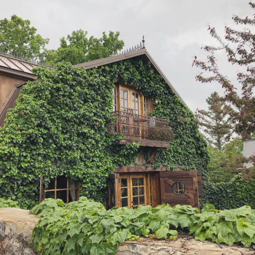 A charming house covered in lush green ivy, featuring a balcony and surrounded by vibrant foliage.