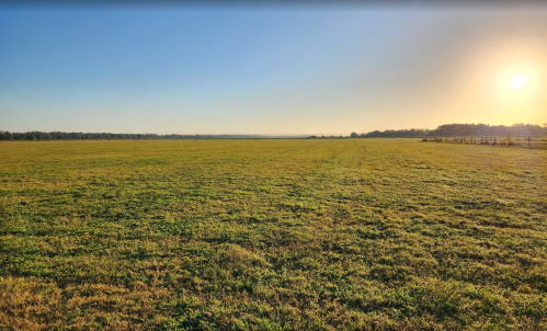 A wide, open field under a clear sky, with the sun rising on the horizon, casting a warm glow over the landscape.