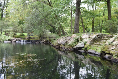 A serene pond surrounded by lush greenery and rocks, reflecting trees and a small waterfall in the background.