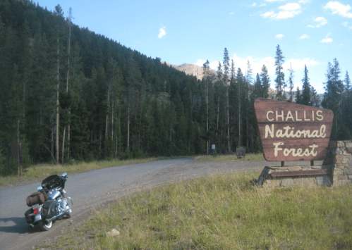 A motorcycle parked near the Challis National Forest sign, surrounded by tall trees and a clear blue sky.