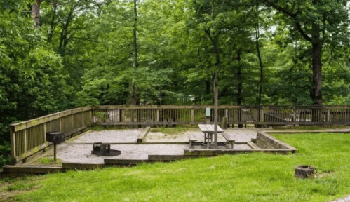 A grassy area with a wooden fence, picnic table, and a fire pit surrounded by trees in a serene outdoor setting.