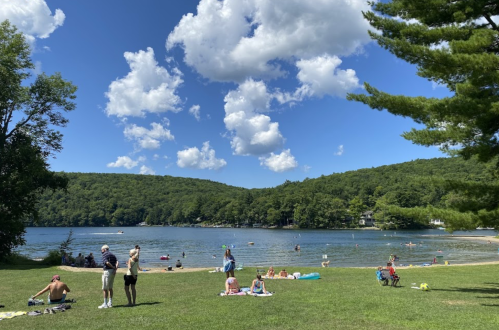 A sunny lakeside scene with people relaxing on the grass, swimming, and enjoying the water under a blue sky with clouds.
