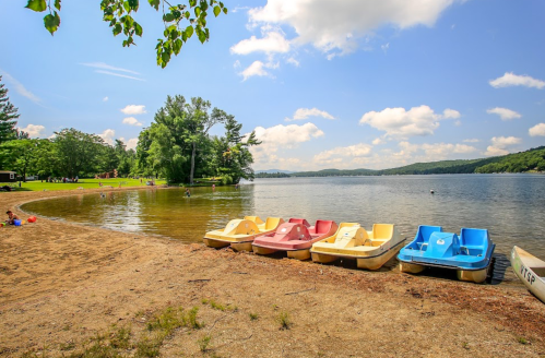 A serene lake scene with colorful paddle boats lined up on the shore, surrounded by trees and a clear blue sky.