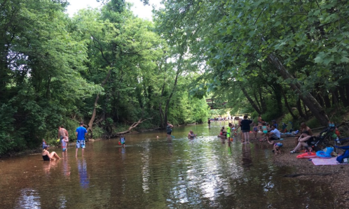 People enjoying a sunny day by a shallow creek, surrounded by trees and greenery. Some are wading, others relaxing.