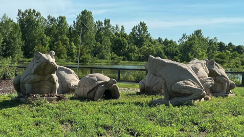 A group of large stone frog sculptures in a grassy area near a body of water and trees in the background.