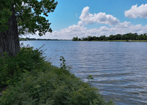 A serene river scene with lush greenery along the bank and fluffy clouds in a blue sky.