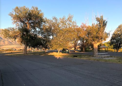 A quiet park scene with trees lining a paved road, picnic tables, and a distant mountain backdrop under a clear sky.