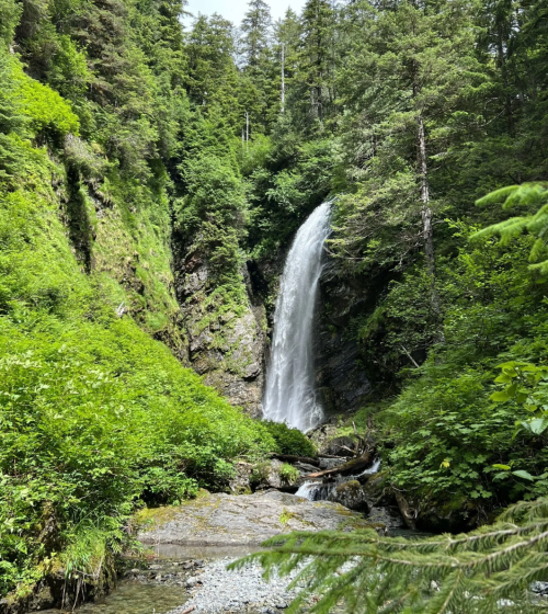 A serene waterfall cascades down rocky cliffs, surrounded by lush green foliage and trees in a tranquil forest setting.