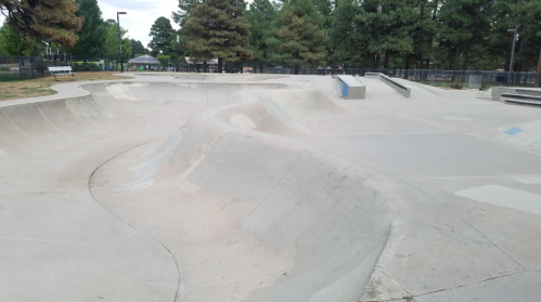 A concrete skatepark featuring smooth ramps and bowls, surrounded by trees and benches.