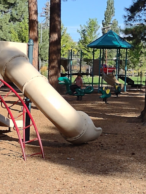 A playground with a slide and swings, featuring a child sitting on a swing under tall trees.