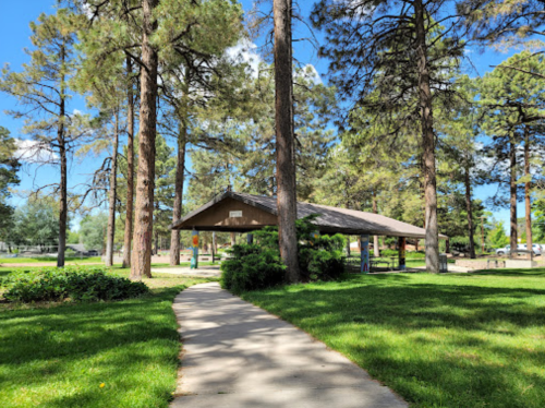 A paved path leads to a shaded picnic shelter surrounded by tall pine trees and green grass under a clear blue sky.
