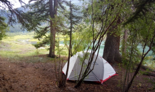 A tent set up in a forest clearing near a calm lake, surrounded by trees and greenery.
