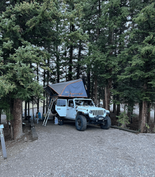 A white Jeep with a rooftop tent parked among tall trees at a campsite, with a ladder leaning against it.