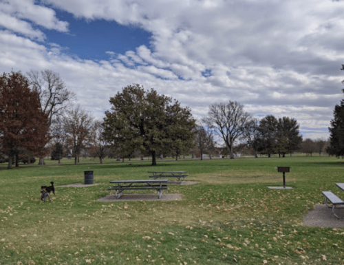 A park scene with picnic tables, a grassy area, a dog, and a cloudy sky. Trees are visible in the background.