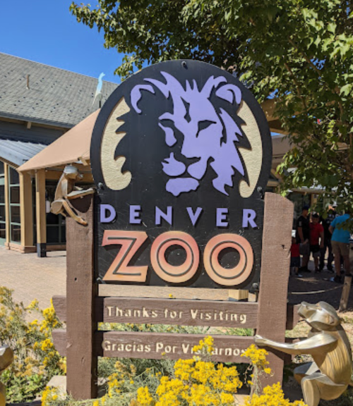 Sign for Denver Zoo featuring a lion graphic, with text in English and Spanish thanking visitors. Bright flowers in foreground.