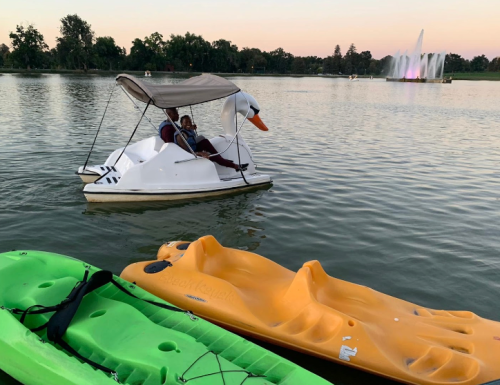 A person enjoys a swan-shaped paddle boat on a lake, with green and orange kayaks in the foreground and a fountain in the background.