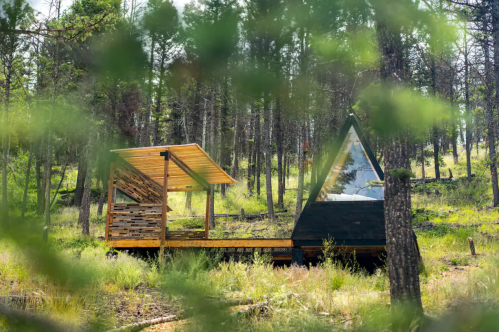 A modern cabin with a triangular roof nestled among trees in a forested area.