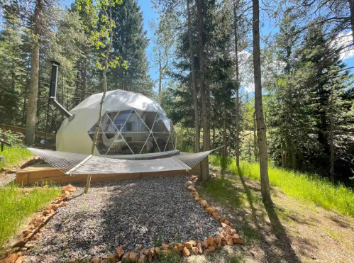 A geodesic dome nestled among tall trees, with a hammock in front and a sunny blue sky above.