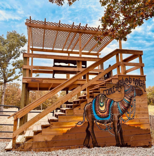 A wooden observation deck with a camel mural on the stairs, set against a blue sky and trees.