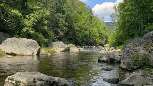 A serene river flows through a lush green forest, with large rocks lining the banks under a blue sky.