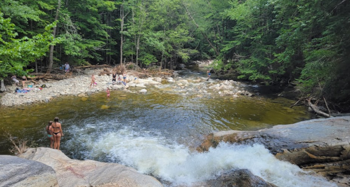 A scenic river surrounded by trees, with people enjoying the water and rocky banks on a sunny day.