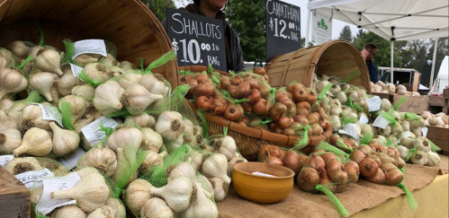 A market stall displaying various types of garlic and shallots in baskets, with price tags visible.