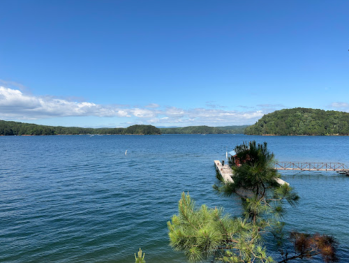 A serene lake view with a wooden dock, surrounded by lush green hills and a clear blue sky.