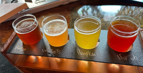 Four small glasses of beer in a flight, showcasing different colors and styles on a wooden tray.