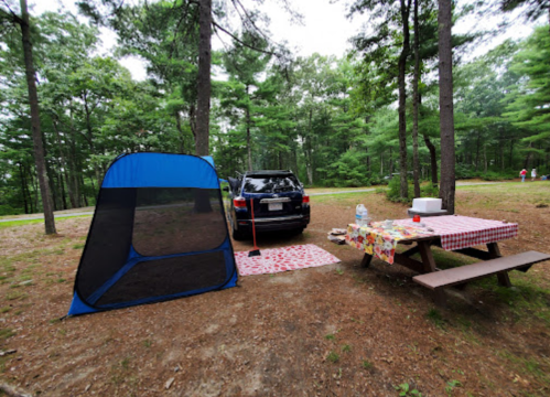 A campsite with a blue tent, picnic table covered with a tablecloth, and a parked car surrounded by trees.