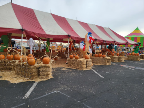 A festive tent with red and white stripes, decorated with pumpkins and hay bales, set up for a fall event.