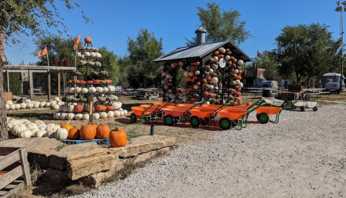 Top Fall Activities in Kansas: Foliage, Pumpkin Patches & Festivals